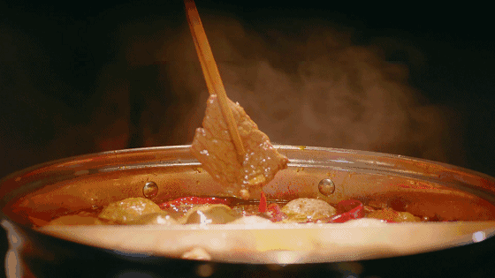  《减肥大作战》-舒尔佳 x 舞刀弄影