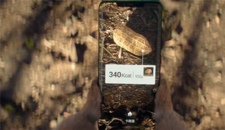 华为Mate 20 AI卡路里识别，瞬间看破美食诱惑