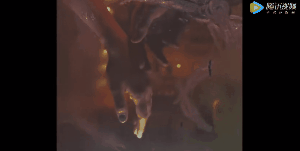  今年最浪漫的万圣节广告！