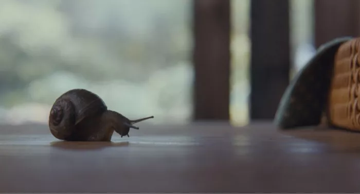  滴滴《旅行青蛙》真人版广告，说的是本人没错了