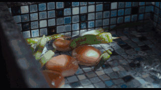  滴滴《旅行青蛙》真人版广告，说的是本人没错了