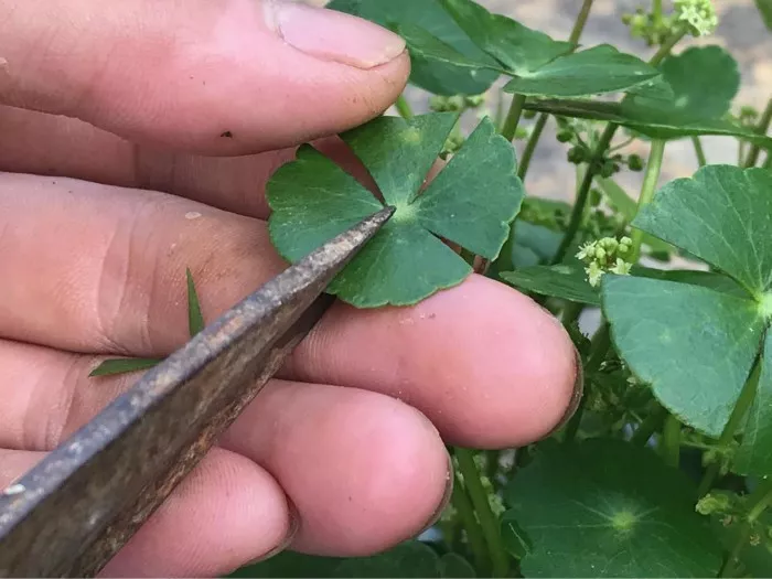  滴滴《旅行青蛙》真人版广告，说的是本人没错了