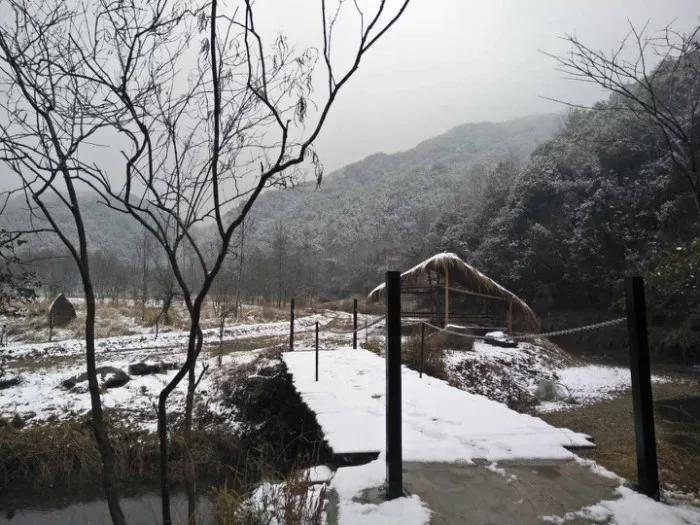  滴滴《旅行青蛙》真人版广告，说的是本人没错了