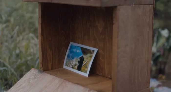  滴滴《旅行青蛙》真人版广告，说的是本人没错了