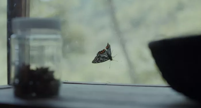  滴滴《旅行青蛙》真人版广告，说的是本人没错了