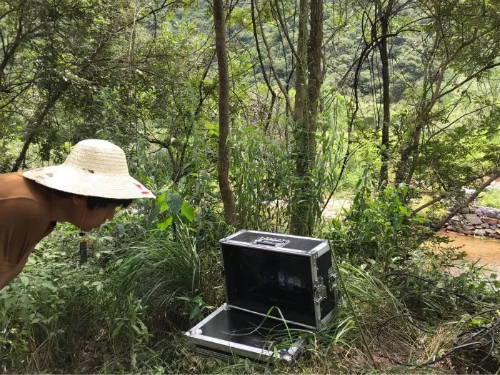  滴滴《旅行青蛙》真人版广告，说的是本人没错了