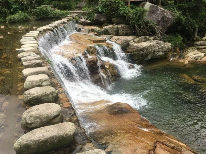  滴滴《旅行青蛙》真人版广告，说的是本人没错了